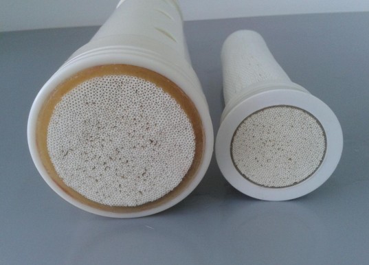 蓝膜0.2um卫生级卷式微滤膜组件